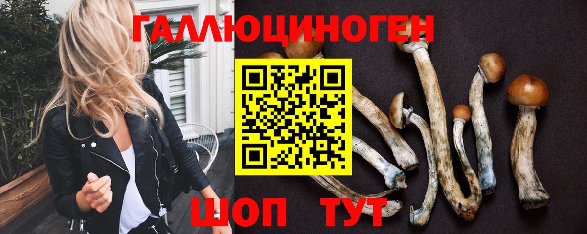Галлюциногенные грибы Magic Shrooms Краснокамск